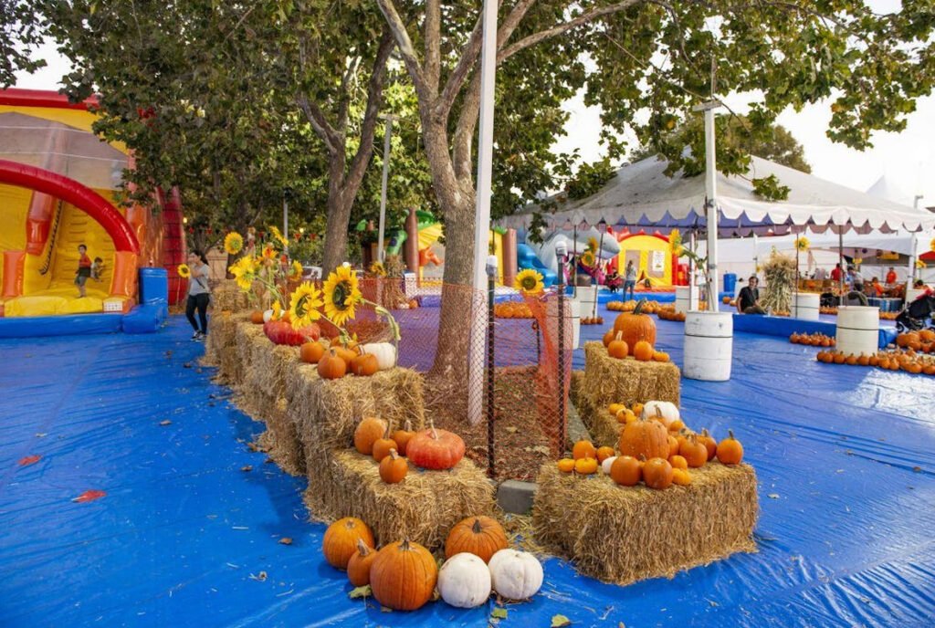 ABC Tree Farms San Lorenzo